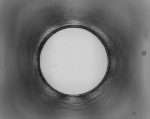 X0000101231318200807251125