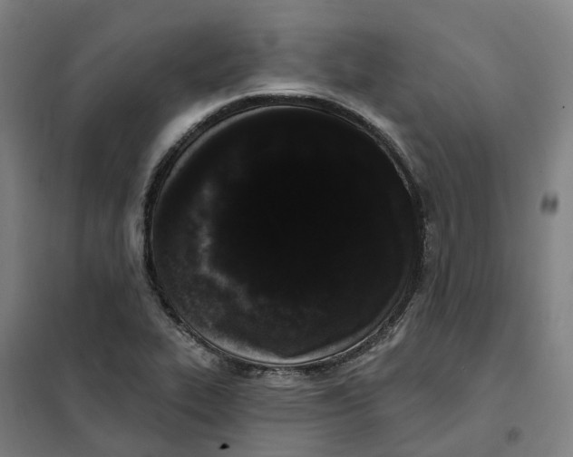 X0000101231319200807251125