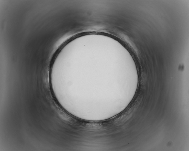 X0000101231320200807251125