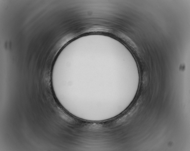 X0000101231321200807251125