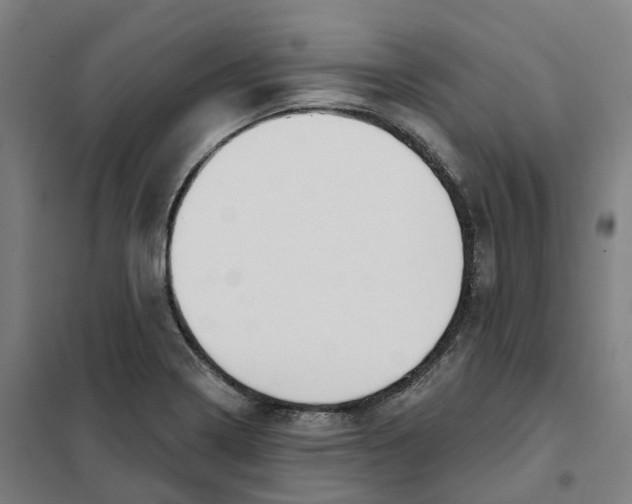 X0000101231322200807251125