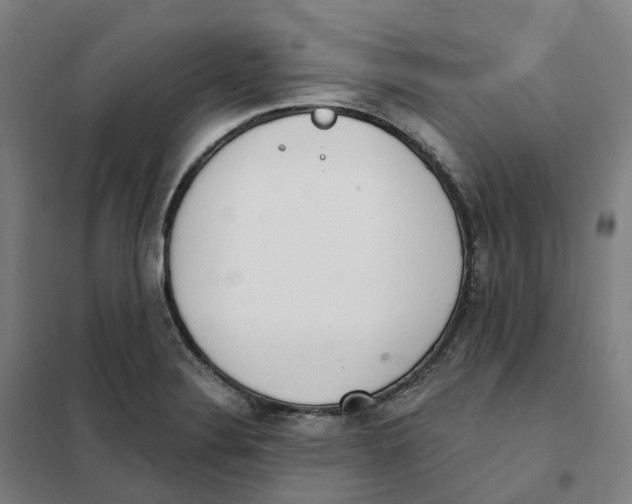 X0000101231324200807251125