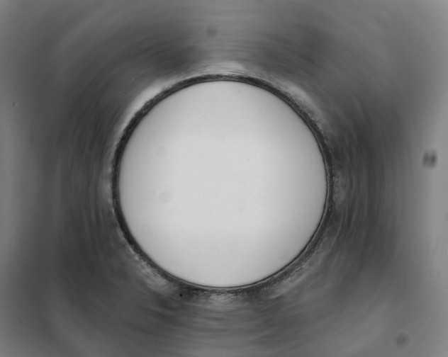 X0000101231326200807251125