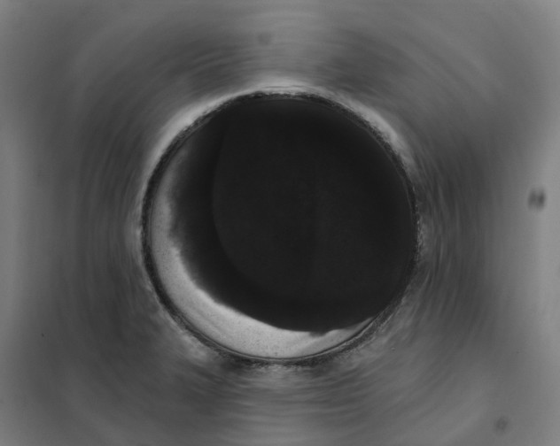 X0000101231327200807251125