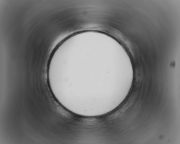 X0000101231328200807251125