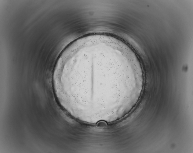 X0000101231329200807251125