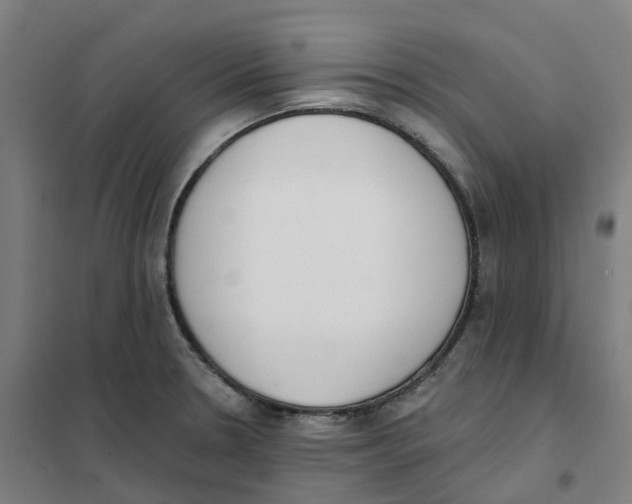 X0000101231330200807251125