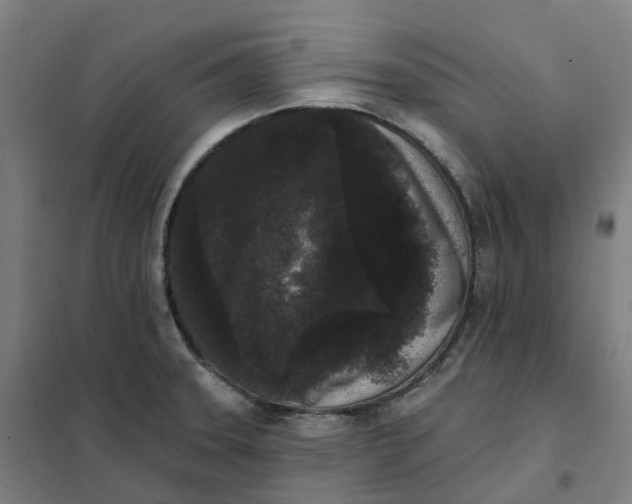 X0000101231331200807251125