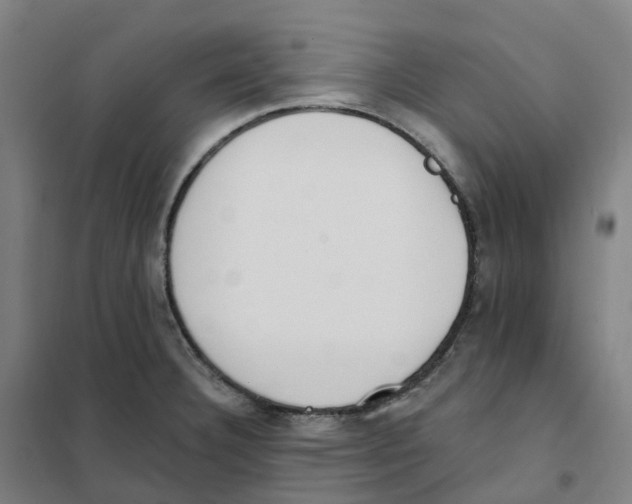 X0000101231332200807251125