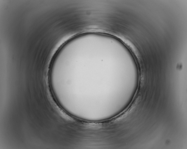 X0000101231333200807251125