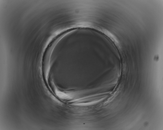 X0000101231334200807251125
