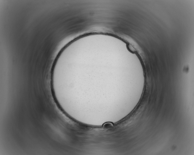X0000101231335200807251125