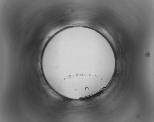 X0000101231336200807251125