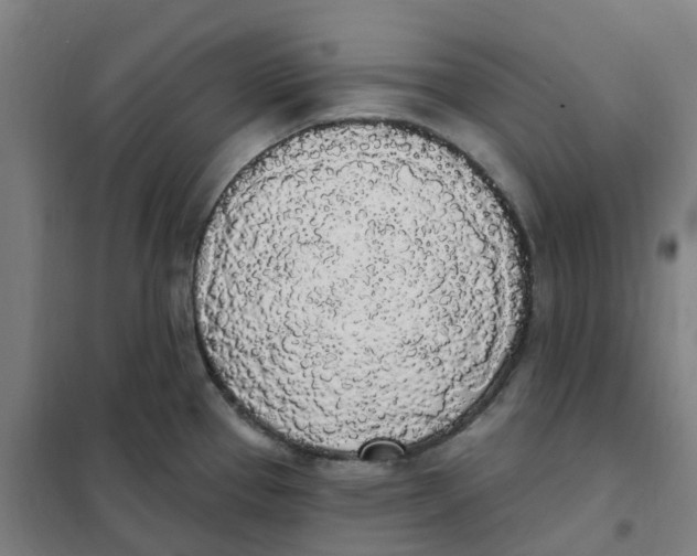 X0000101231337200807251125