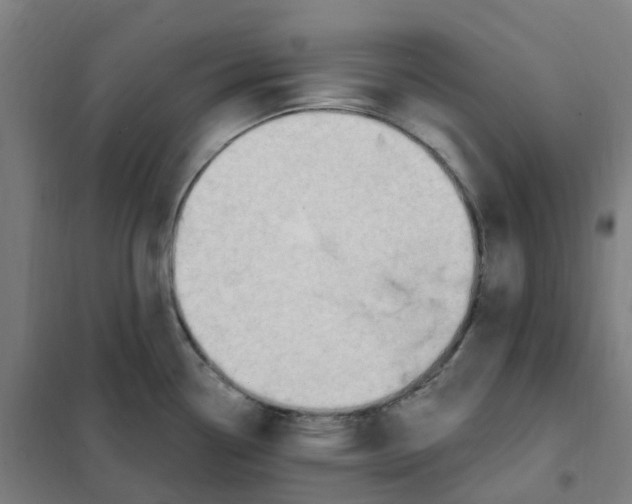 X0000101231338200807251125