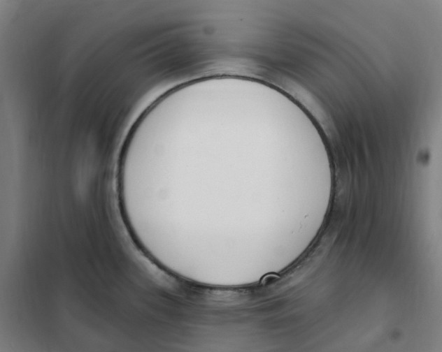 X0000101231339200807251125