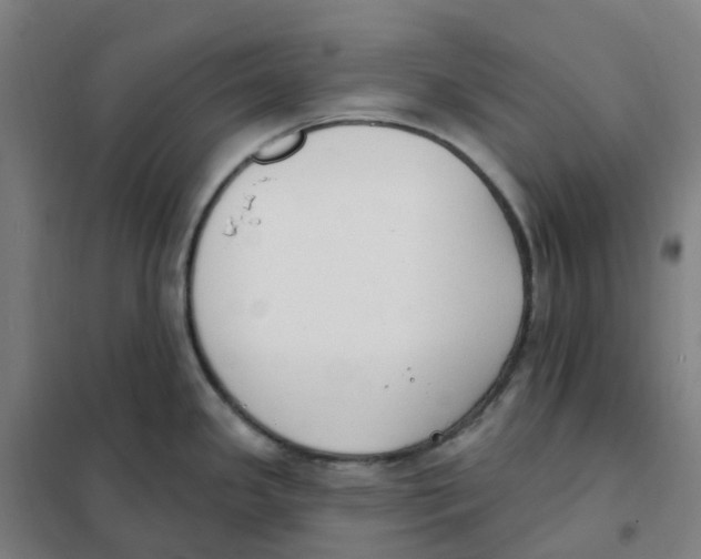X0000101231341200807251125