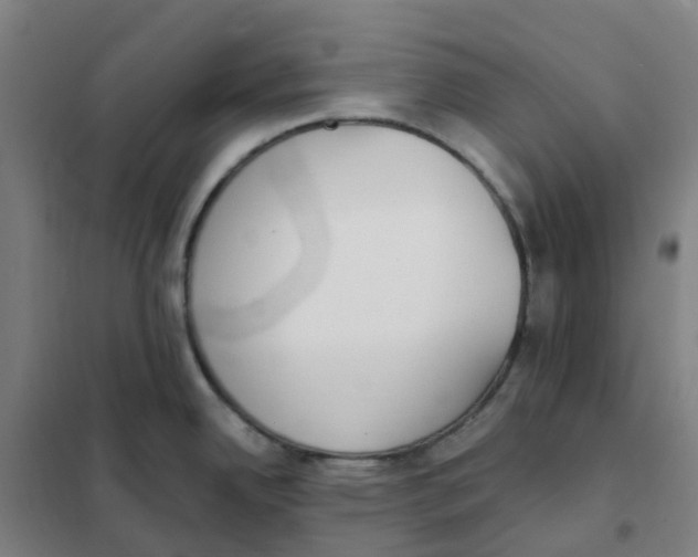 X0000101231342200807251125