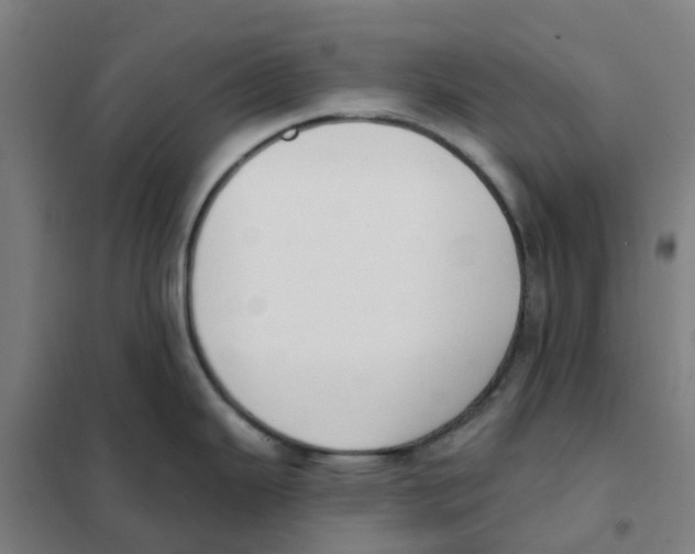 X0000101231343200807251125