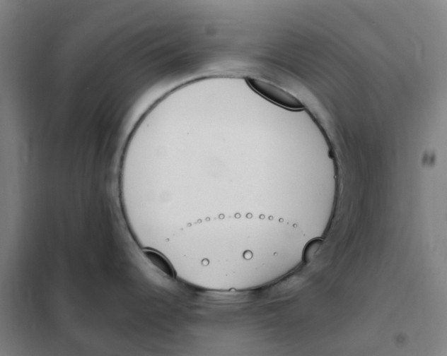 X0000101231344200807251125