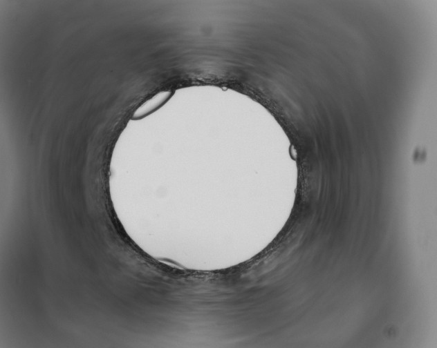 X0000101231345200807251125