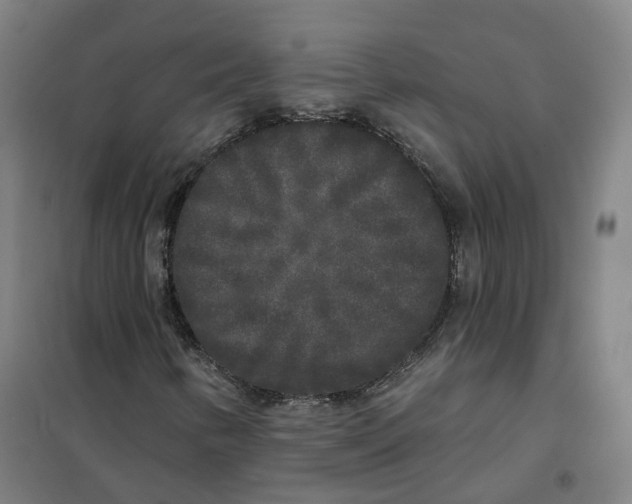 X0000101231346200807251125