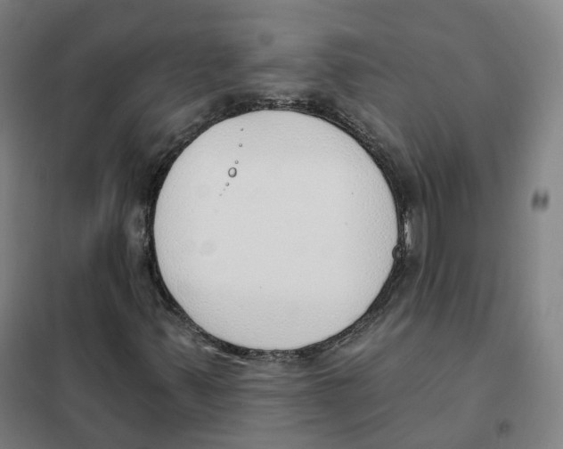 X0000101231347200807251125