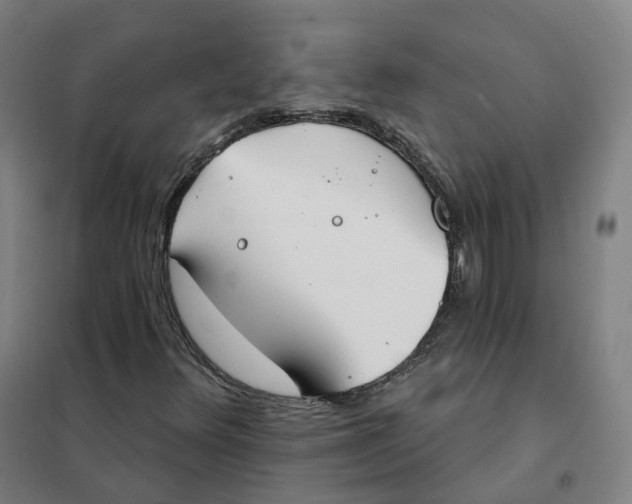 X0000101231348200807251125