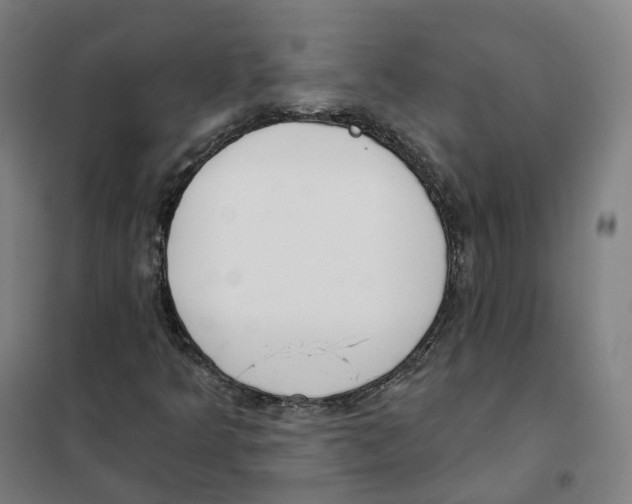 X0000101231349200807251125
