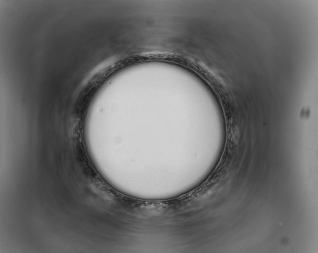 X0000101231351200807251125