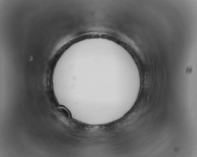 X0000101231352200807251125