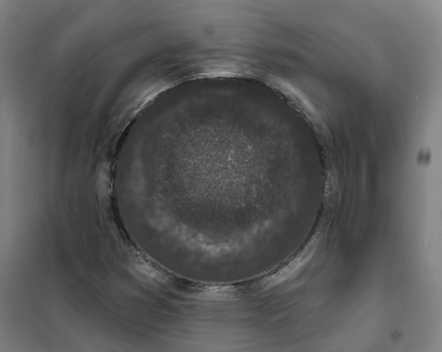 X0000101231353200807251125