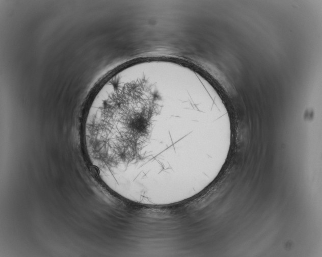 X0000101231356200807251125