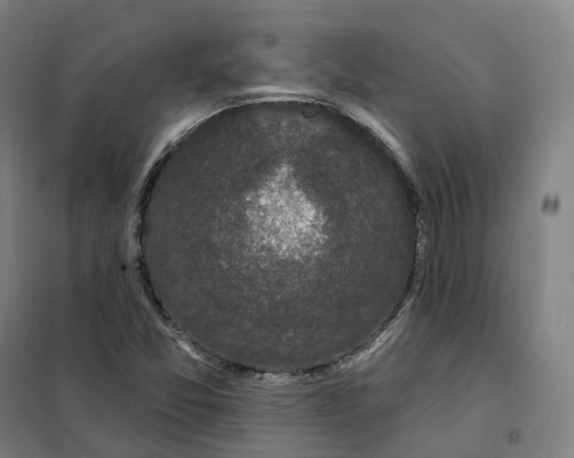 X0000101231357200807251125