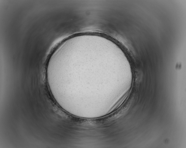 X0000101231358200807251125