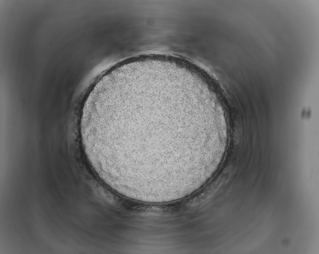 X0000101231359200807251125
