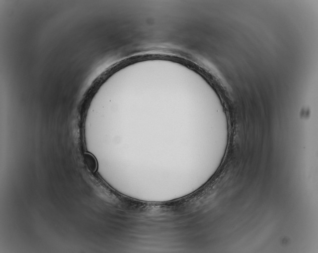 X0000101231360200807251125