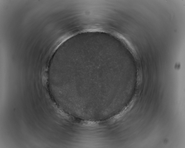 X0000101231361200807251125