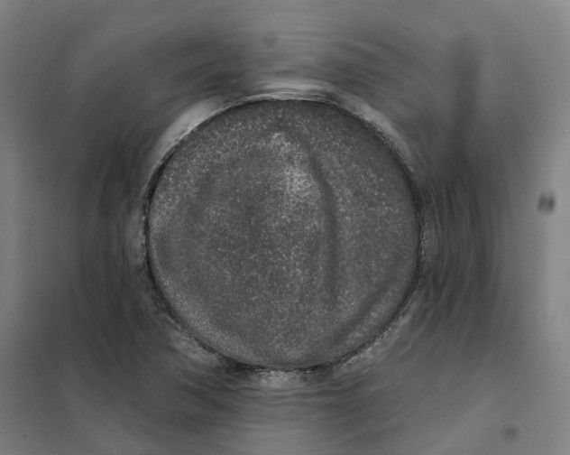 X0000101231362200807251125