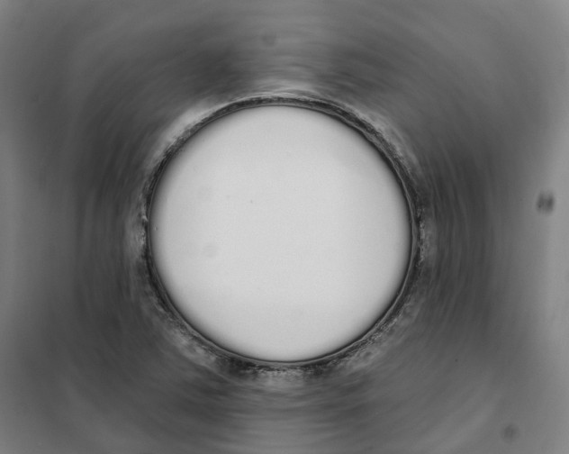 X0000101231363200807251125