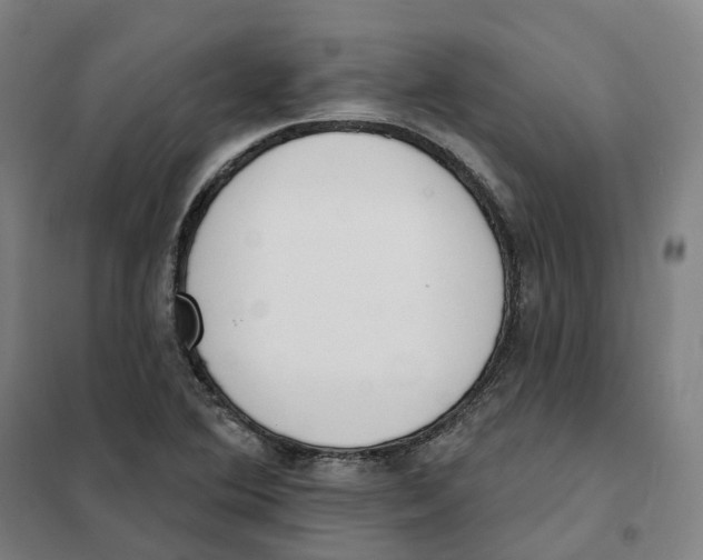 X0000101231364200807251125