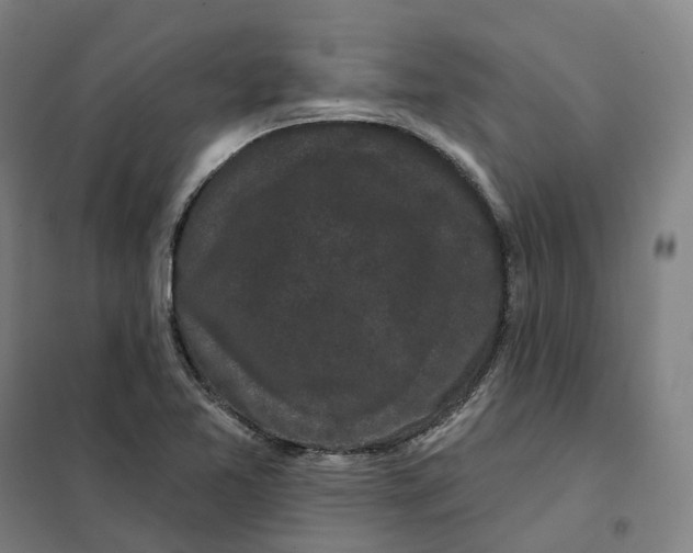 X0000101231365200807251124