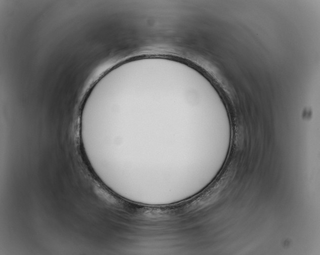 X0000101231366200807251124