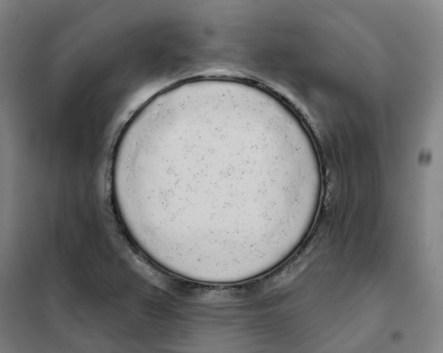 X0000101231367200807251124
