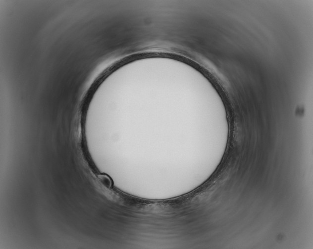 X0000101231368200807251124