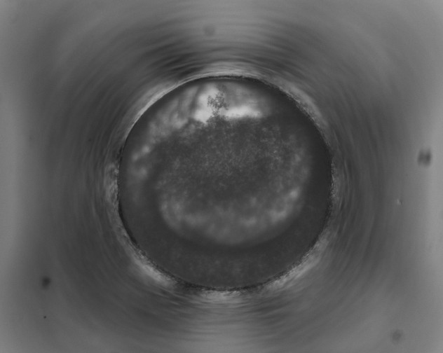 X0000101231369200807251124