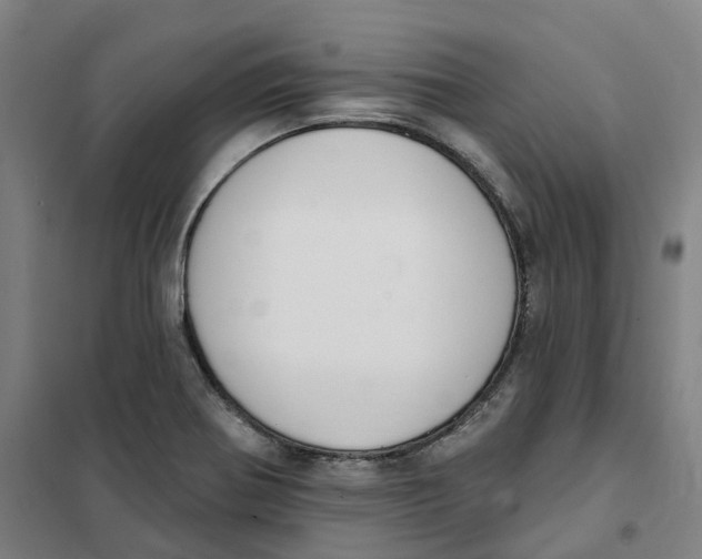 X0000101231370200807251124
