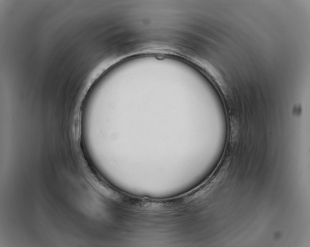 X0000101231371200807251124