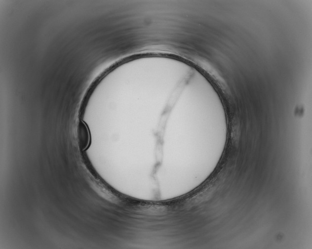X0000101231372200807251124