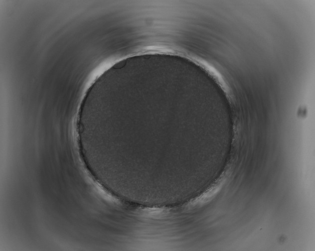X0000101231373200807251124